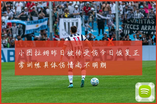 小图拉姆昨日被传受伤今日恢复正常训练具体伤情尚不明朗